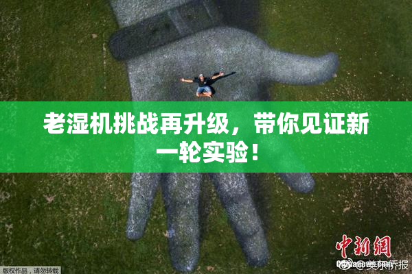 老湿机挑战再升级，带你见证新一轮实验！