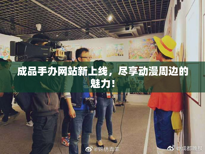 成品手办网站新上线，尽享动漫周边的魅力！