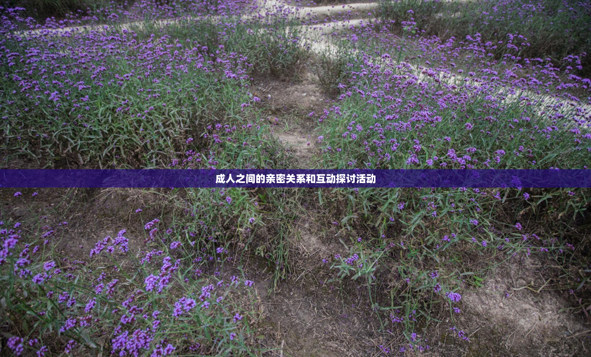 成人之间的亲密关系和互动探讨活动