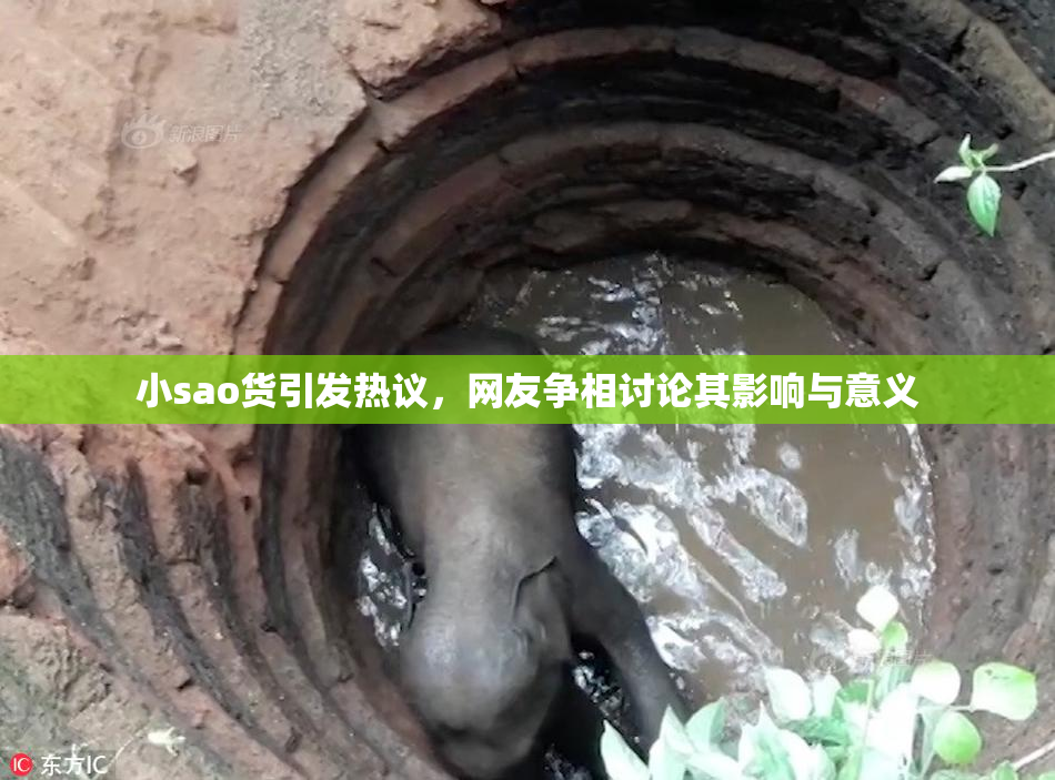 小sao货引发热议，网友争相讨论其影响与意义