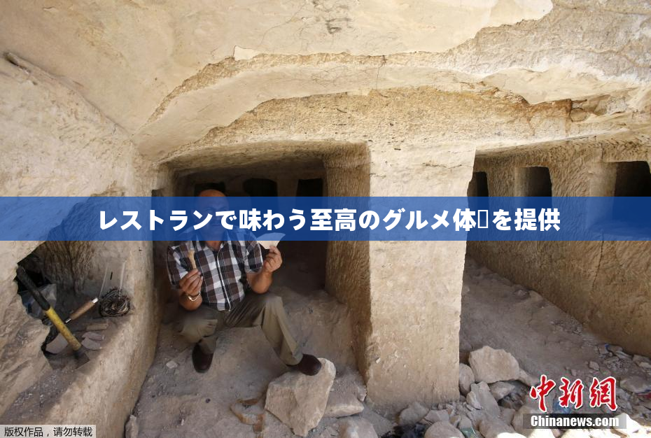 レストランで味わう至高のグルメ体験を提供