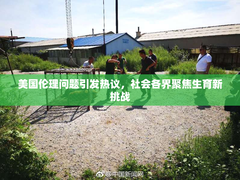 美国伦理问题引发热议，社会各界聚焦生育新挑战
