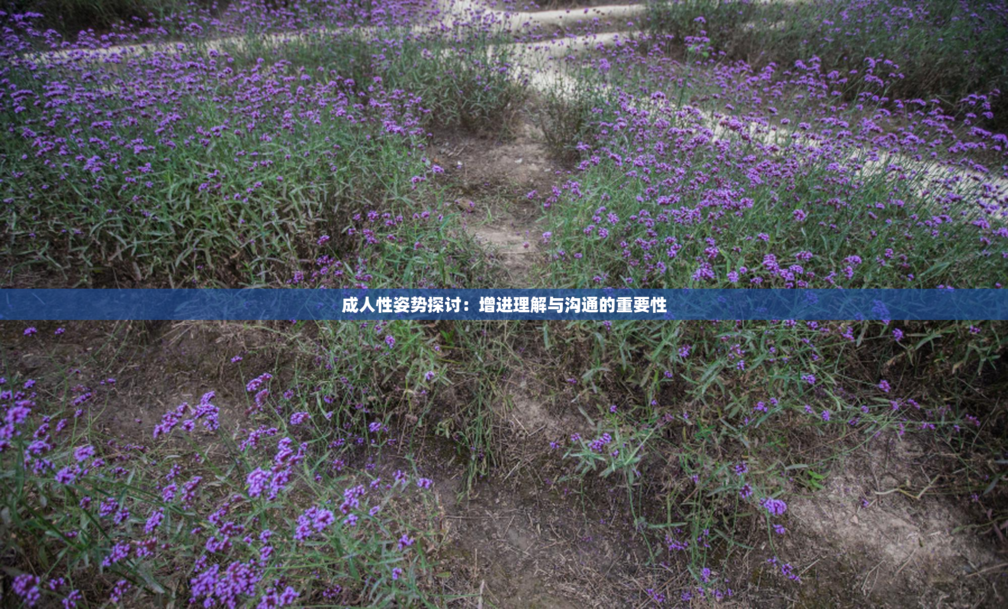 成人性姿势探讨：增进理解与沟通的重要性
