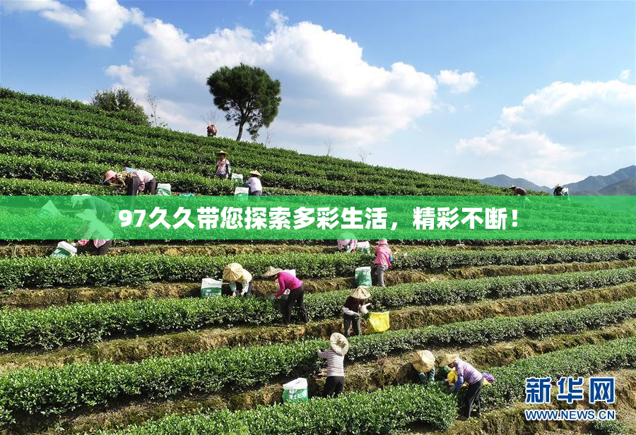 97久久带您探索多彩生活，精彩不断！