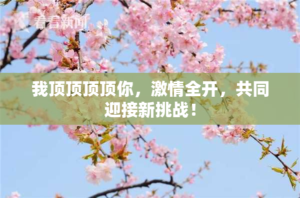 我顶顶顶顶你，激情全开，共同迎接新挑战！