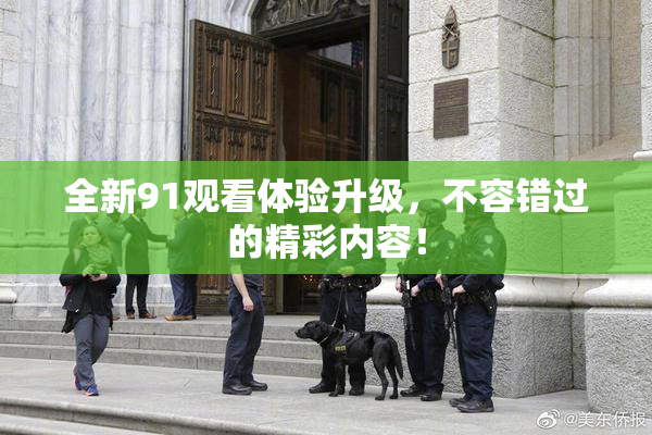 全新91观看体验升级，不容错过的精彩内容！