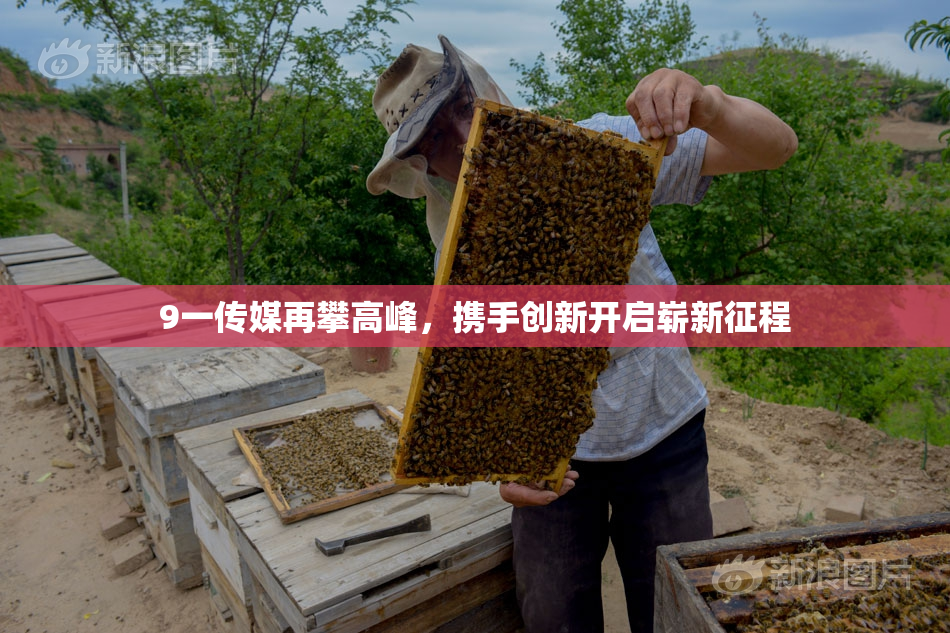 9一传媒再攀高峰，携手创新开启崭新征程