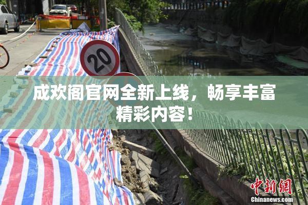 成欢阁官网全新上线，畅享丰富精彩内容！