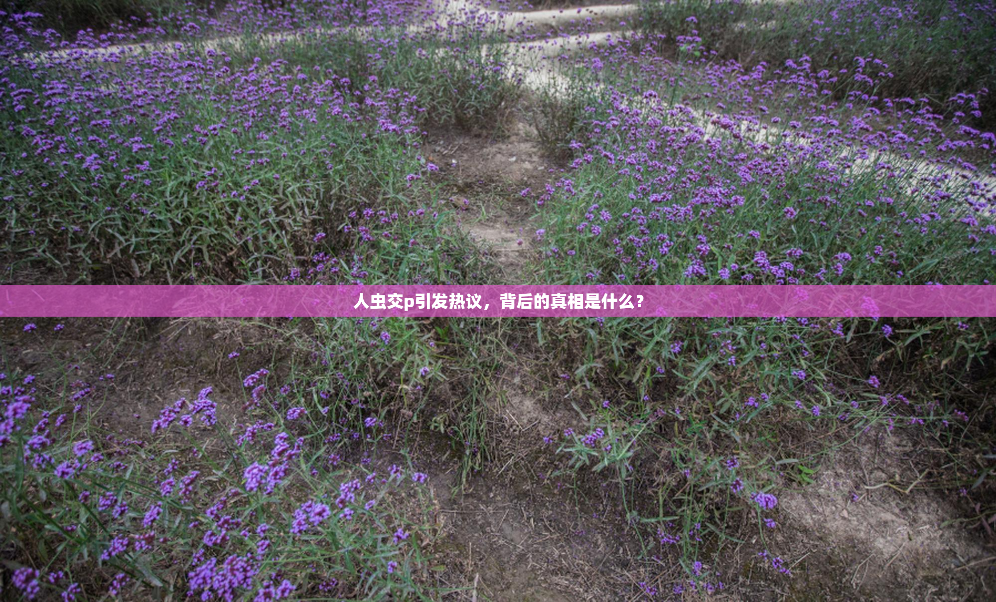 人虫交p引发热议，背后的真相是什么？
