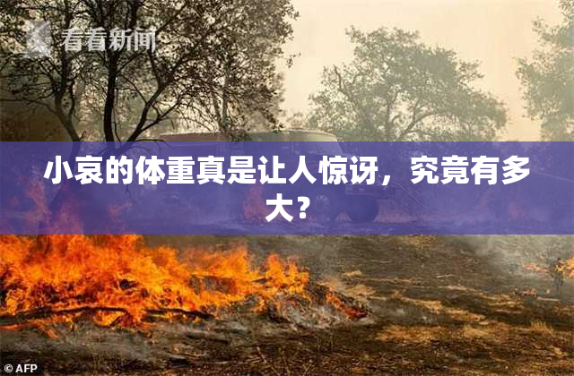小哀的体重真是让人惊讶，究竟有多大？