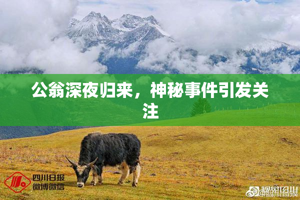 公翁深夜归来，神秘事件引发关注