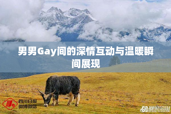男男Gay间的深情互动与温暖瞬间展现