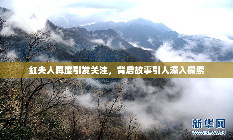 红夫人再度引发关注，背后故事引人深入探索