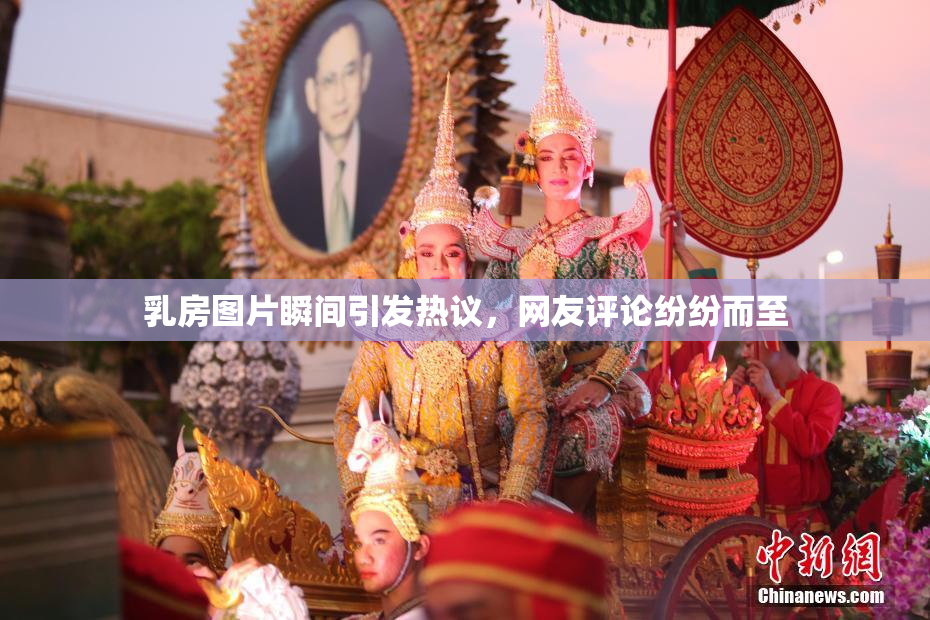 乳房图片瞬间引发热议，网友评论纷纷而至