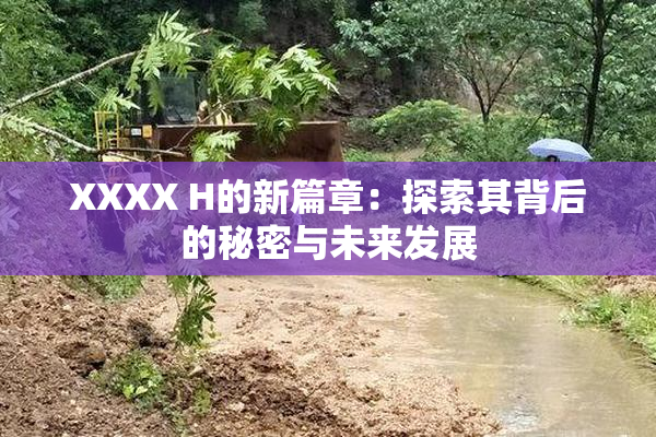 XXXX H的新篇章：探索其背后的秘密与未来发展