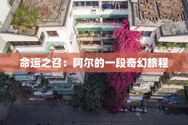 命运之召：阿尔的一段奇幻旅程