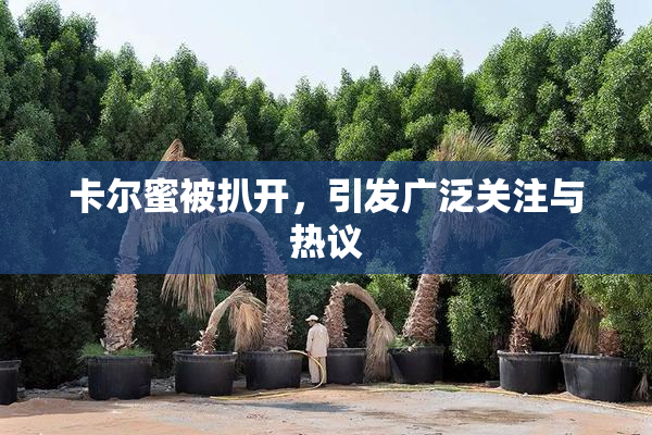 卡尔蜜被扒开，引发广泛关注与热议