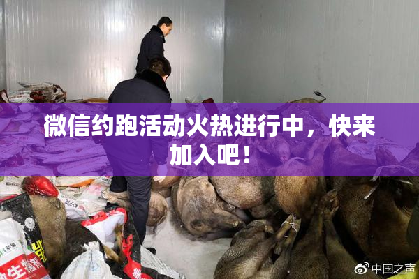 微信约跑活动火热进行中，快来加入吧！