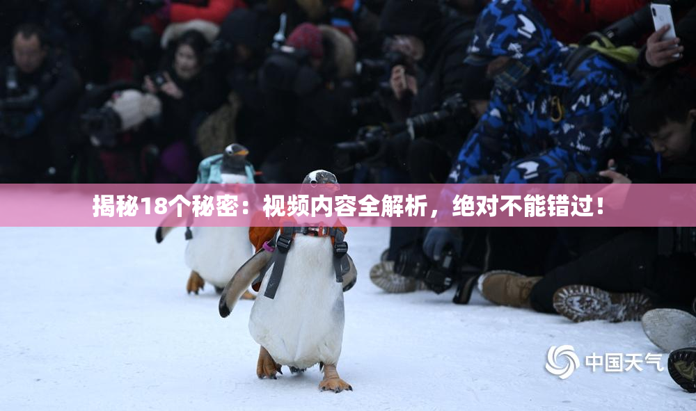 揭秘18个秘密：视频内容全解析，绝对不能错过！