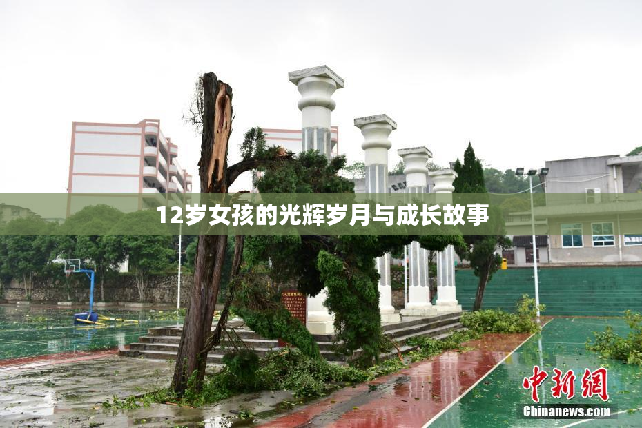 12岁女孩的光辉岁月与成长故事
