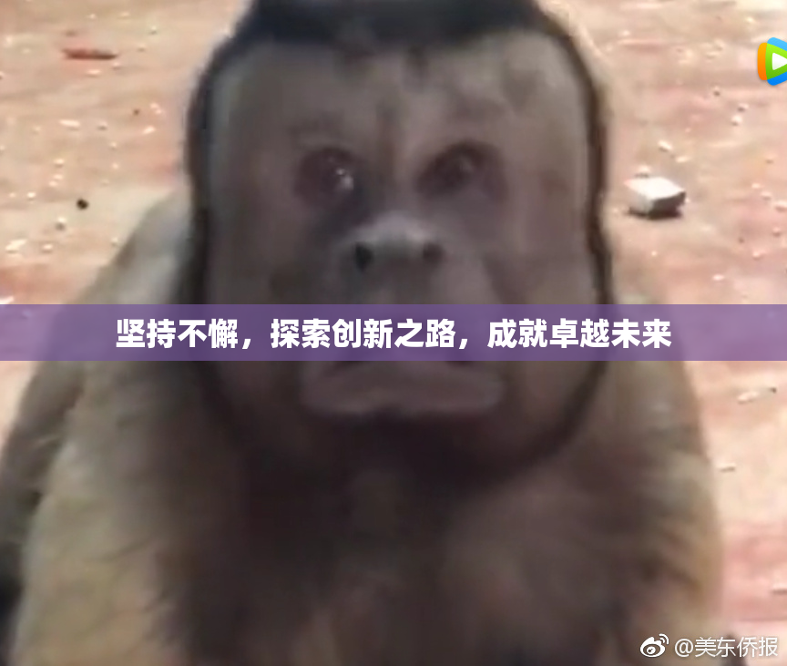 坚持不懈，探索创新之路，成就卓越未来