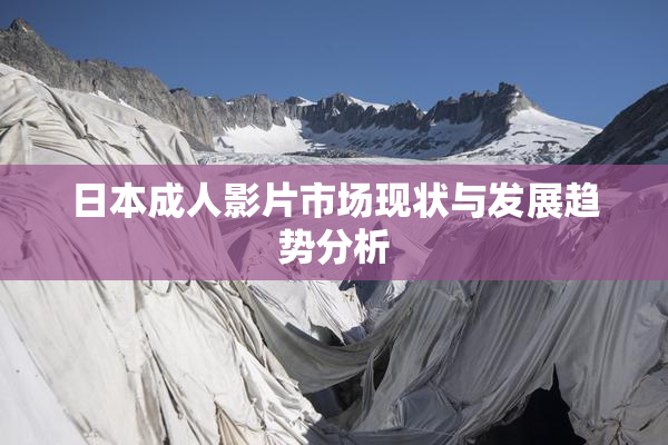 日本成人影片市场现状与发展趋势分析
