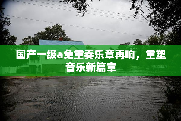 国产一级a免重奏乐章再响，重塑音乐新篇章