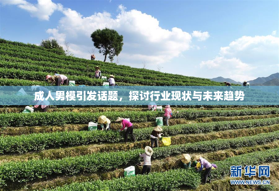 成人男模引发话题，探讨行业现状与未来趋势
