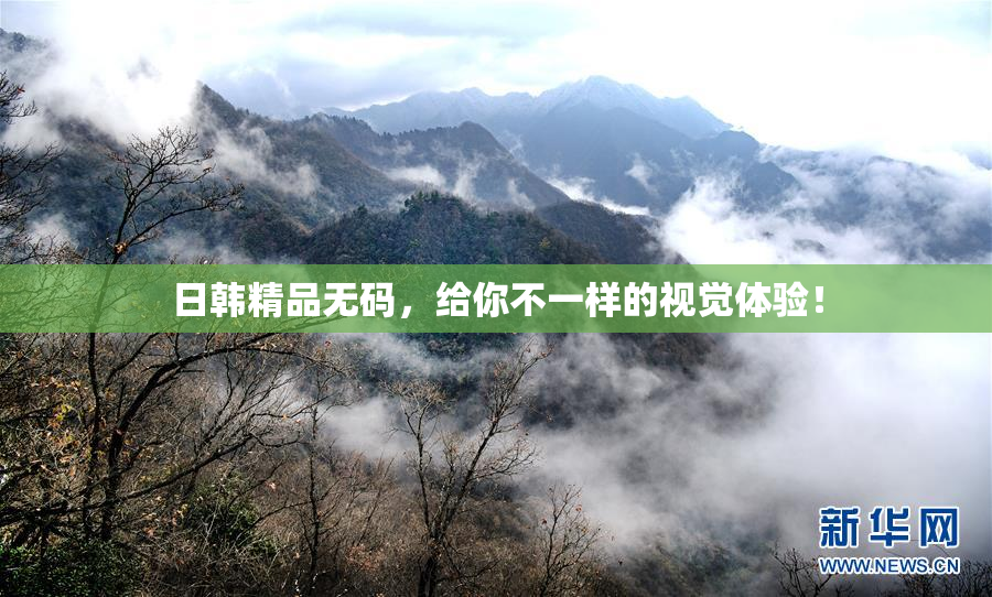 日韩精品无码，给你不一样的视觉体验！