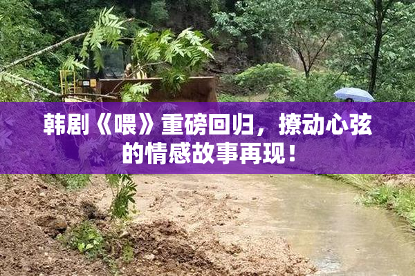 韩剧《喂》重磅回归，撩动心弦的情感故事再现！