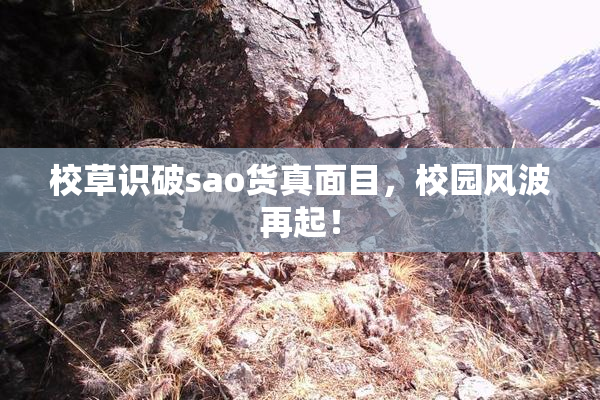 校草识破sao货真面目，校园风波再起！