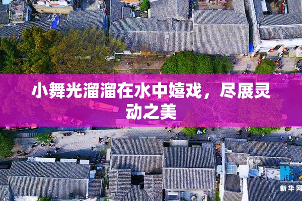 小舞光溜溜在水中嬉戏，尽展灵动之美