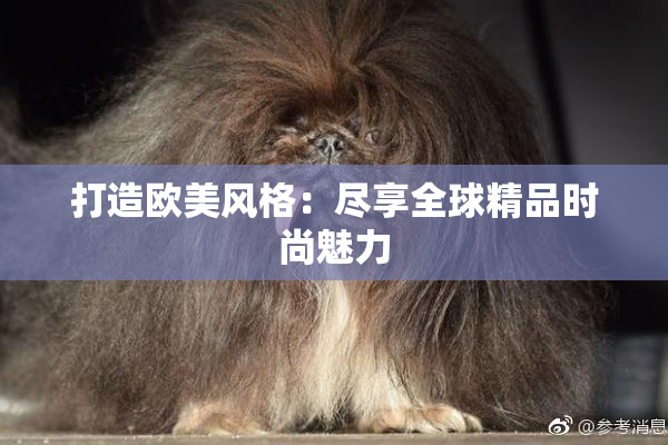 打造欧美风格：尽享全球精品时尚魅力