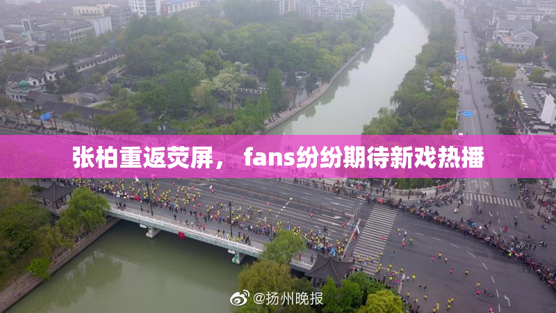 张柏重返荧屏， fans纷纷期待新戏热播