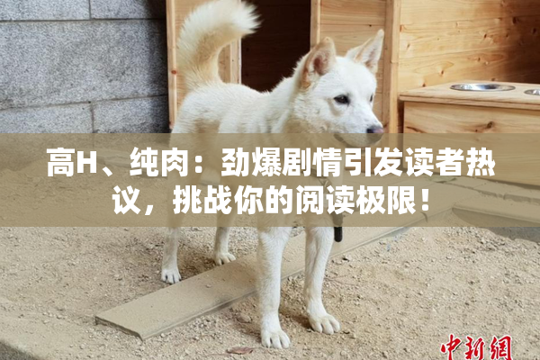 高H、纯肉：劲爆剧情引发读者热议，挑战你的阅读极限！