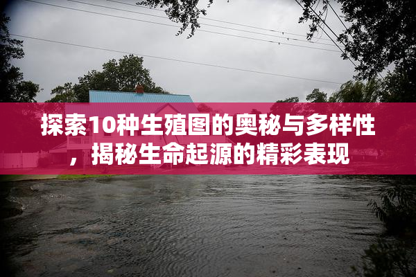 探索10种生殖图的奥秘与多样性，揭秘生命起源的精彩表现