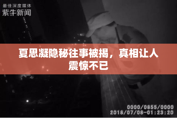 夏思凝隐秘往事被揭，真相让人震惊不已