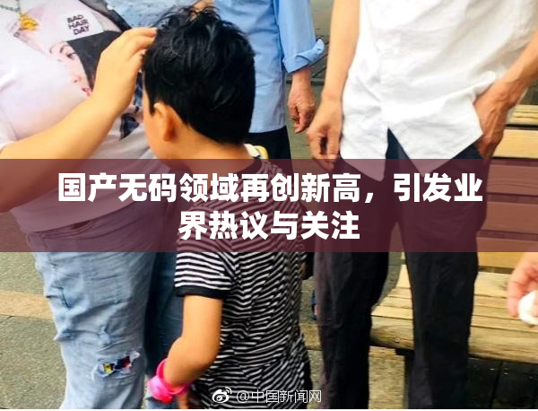 国产无码领域再创新高，引发业界热议与关注