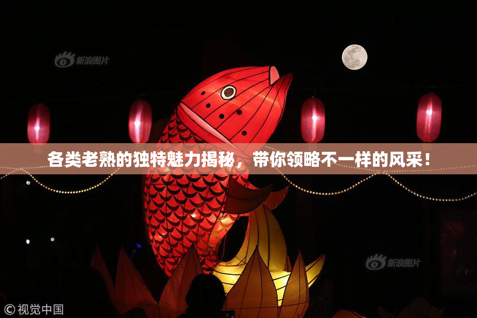 各类老熟的独特魅力揭秘，带你领略不一样的风采！