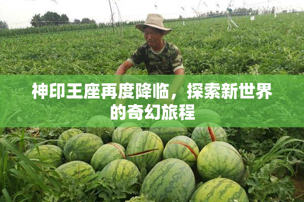 神印王座再度降临，探索新世界的奇幻旅程