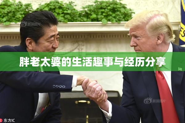 胖老太婆的生活趣事与经历分享