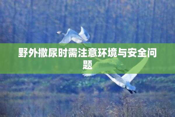 野外撒尿时需注意环境与安全问题