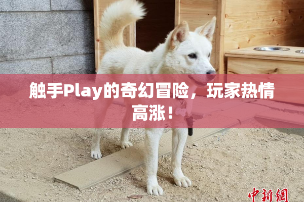 触手Play的奇幻冒险，玩家热情高涨！