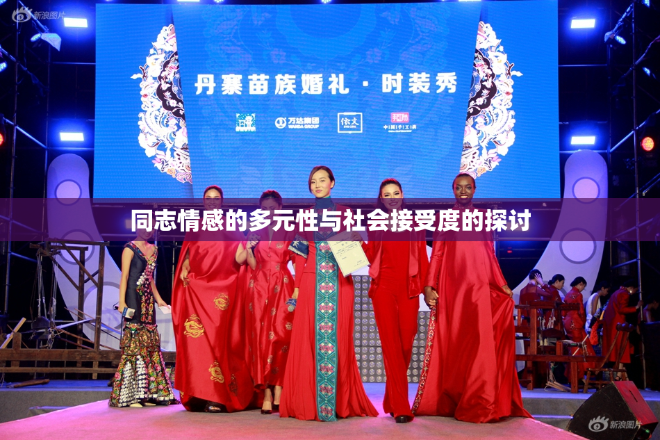 同志情感的多元性与社会接受度的探讨