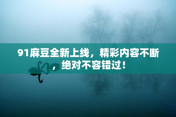 91麻豆全新上线，精彩内容不断，绝对不容错过！