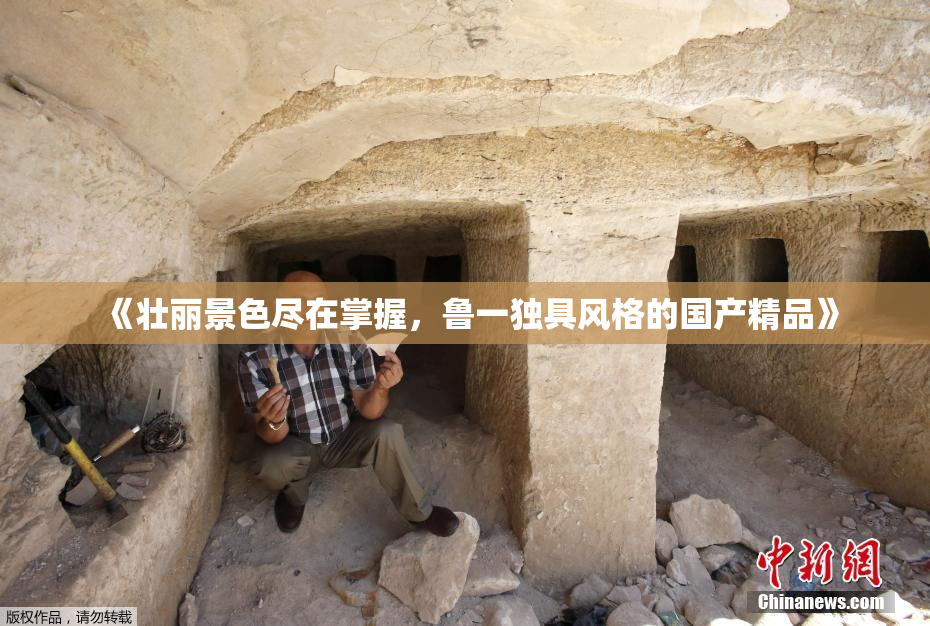 《壮丽景色尽在掌握，鲁一独具风格的国产精品》