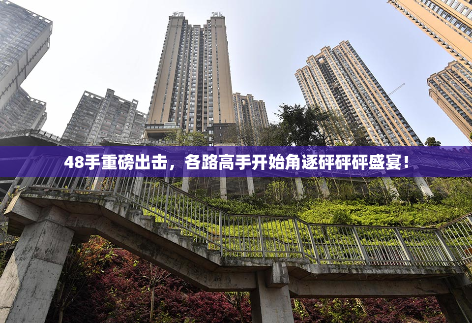 48手重磅出击，各路高手开始角逐砰砰砰盛宴！