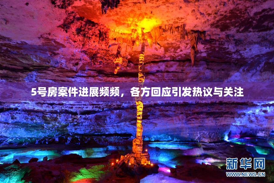 5号房案件进展频频，各方回应引发热议与关注