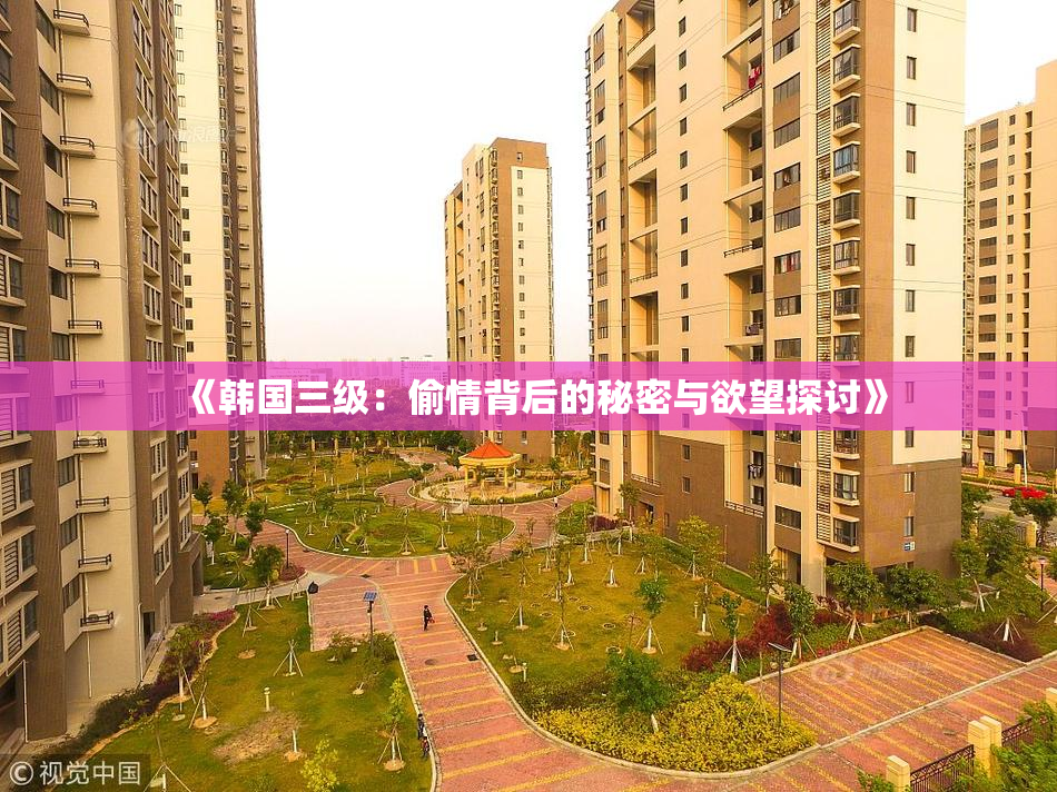 《韩国三级：偷情背后的秘密与欲望探讨》