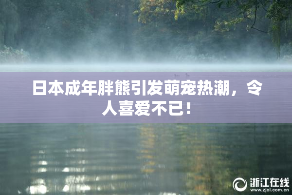 日本成年胖熊引发萌宠热潮，令人喜爱不已！